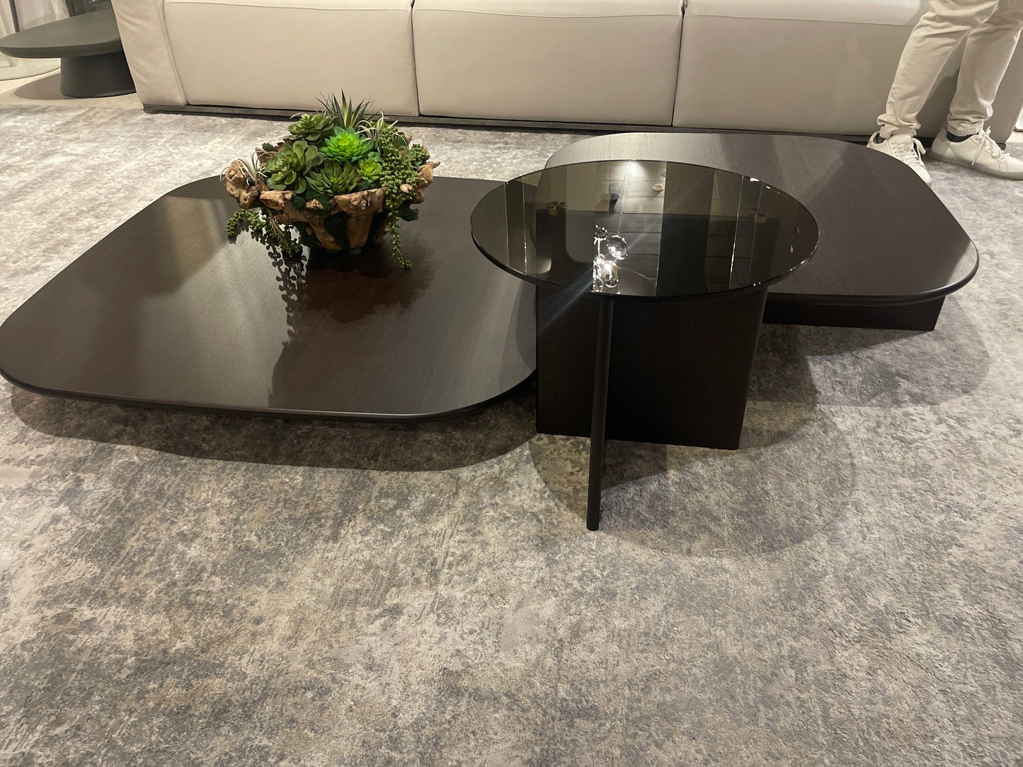 Ditre Polyura Wood/ Glass Set of 3