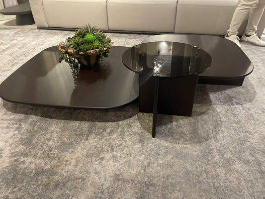 Ditre Polyura Wood/ Glass Set of 3